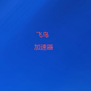 飞鸟VPN加速器